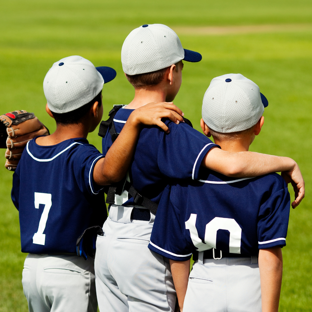 About Richmond Renegades Baseball