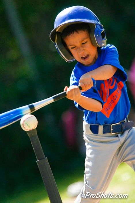 Spring Baseball Season